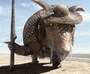 Photo 4 pour RANGO